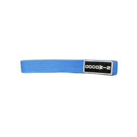 Goodwin Karate Belt