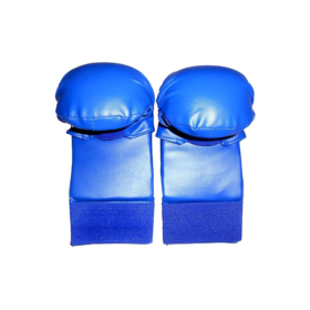 Goodwin Karate Gloves