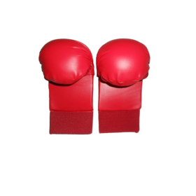 Goodwin Karate Gloves