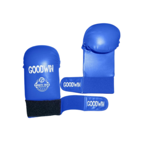 Goodwin Karate Gloves