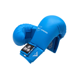 Daedo Karate Gloves