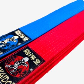 gokaido professional karate belt