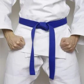 Karate Beginner Quality Belt Pair