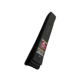 Gokaido karate Black Belt