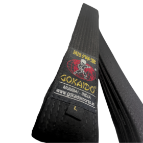 Gokaido karate Black Belt