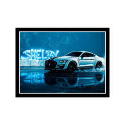 Shelby Power Drift Wall Frame