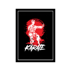 Rise of the Karateka Wall Frame