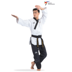 Daedo WT Approved Taekwondo Poom Uniform (Male)