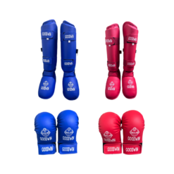 Goodwin Professional Quality Karate Gloves and Shin Guard Set