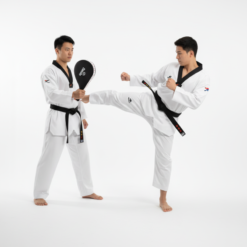 Daedo Single Target Mitt (Fan Pad)