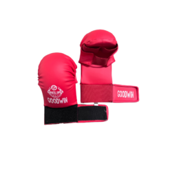 Goodwin Professional Quality Karate Gloves and Shin Guard Set