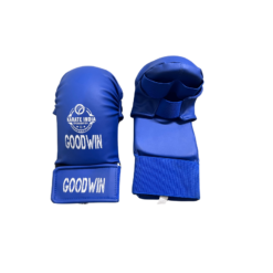 Goodwin Professional Quality Karate Gloves and Shin Guard Set