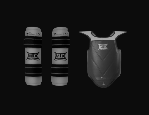 Taekwondo Guards